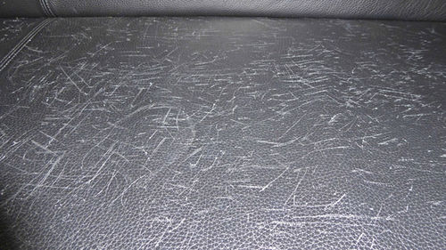 Cat Claw Marks On Leather Couch, How To Repair Cat Scratches On Faux Leather Furniture