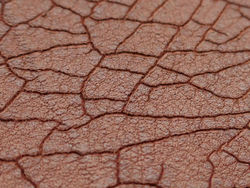 Crackled leather-02.jpg