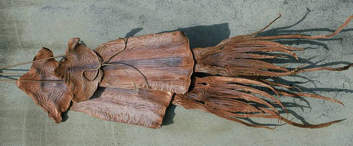 Dried squid skin.jpg
