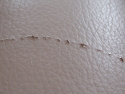 Cat Scratches On Leather, How To Fix Cat Claw Marks In Leather
