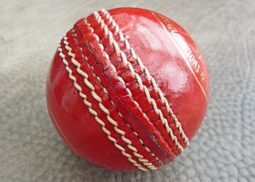 Lederball-Cricket-001.jpg