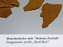 Roter-Zerfall-01-Ledermuseum-Offenbach.jpg